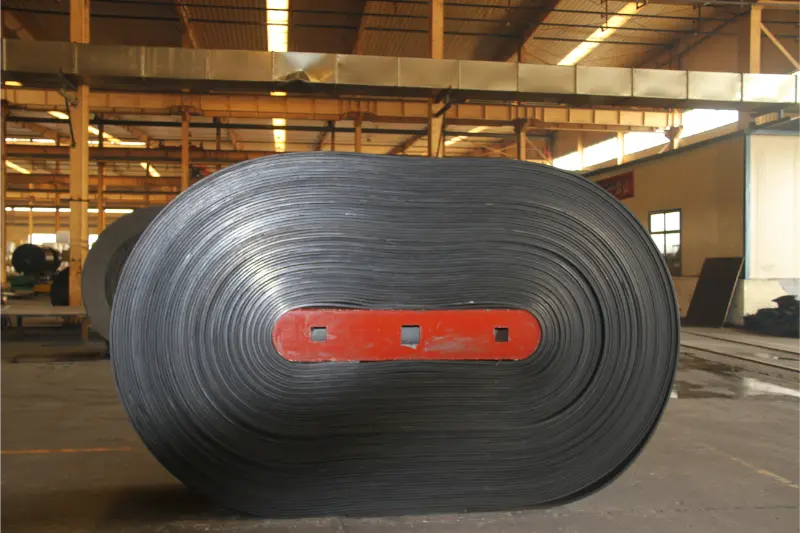 Steel cord belt